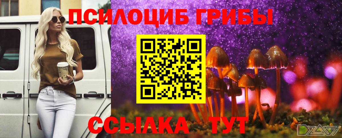 где можно купить наркотик  Вход с VPN  Галлюциногенные грибы Psilocybe  Уссурийск  Галлюциногенные грибы MAGIC MUSHROOMS 